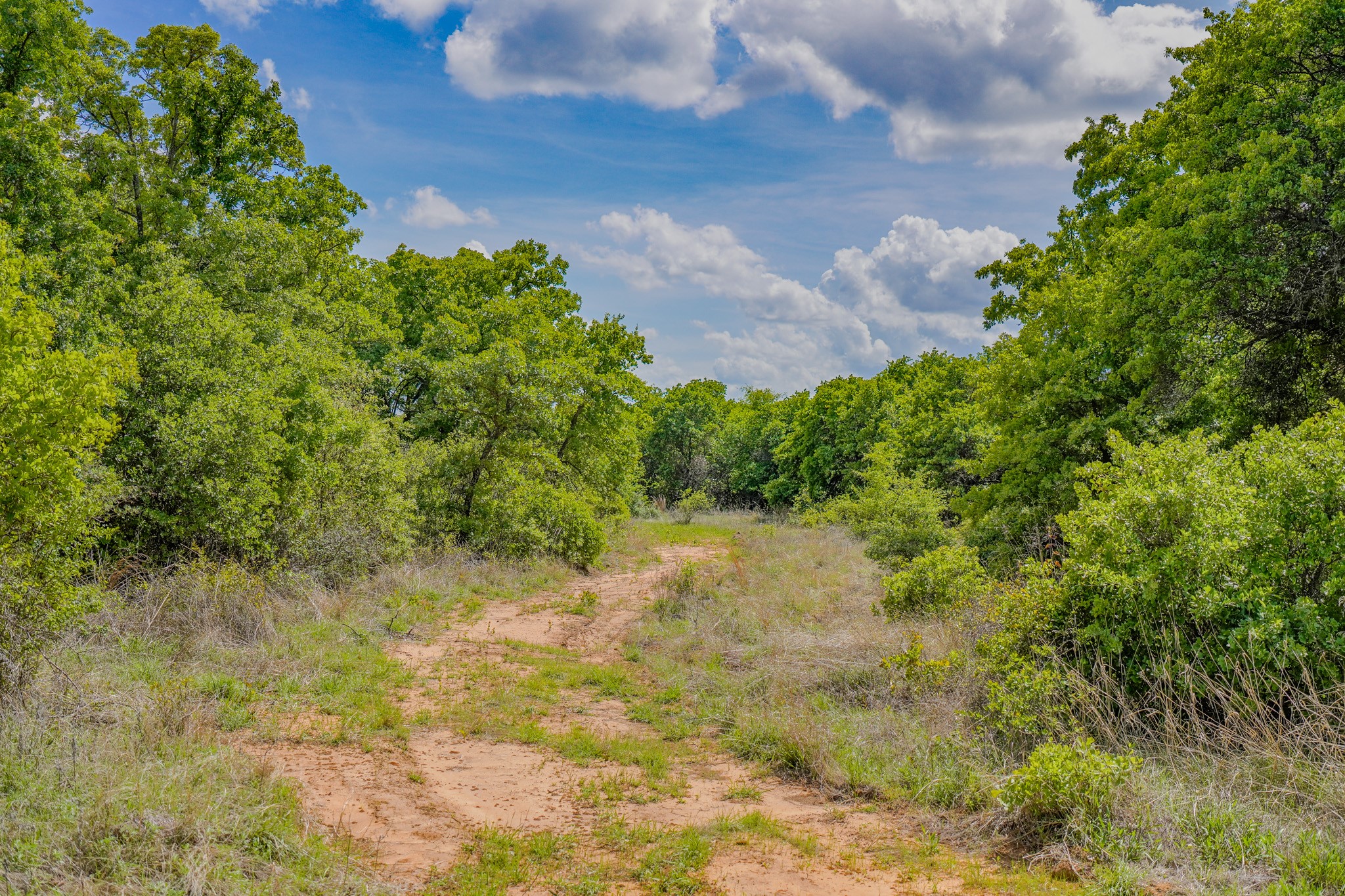 240 Acres Middlebrooks Lane Jacksboro TX 76458