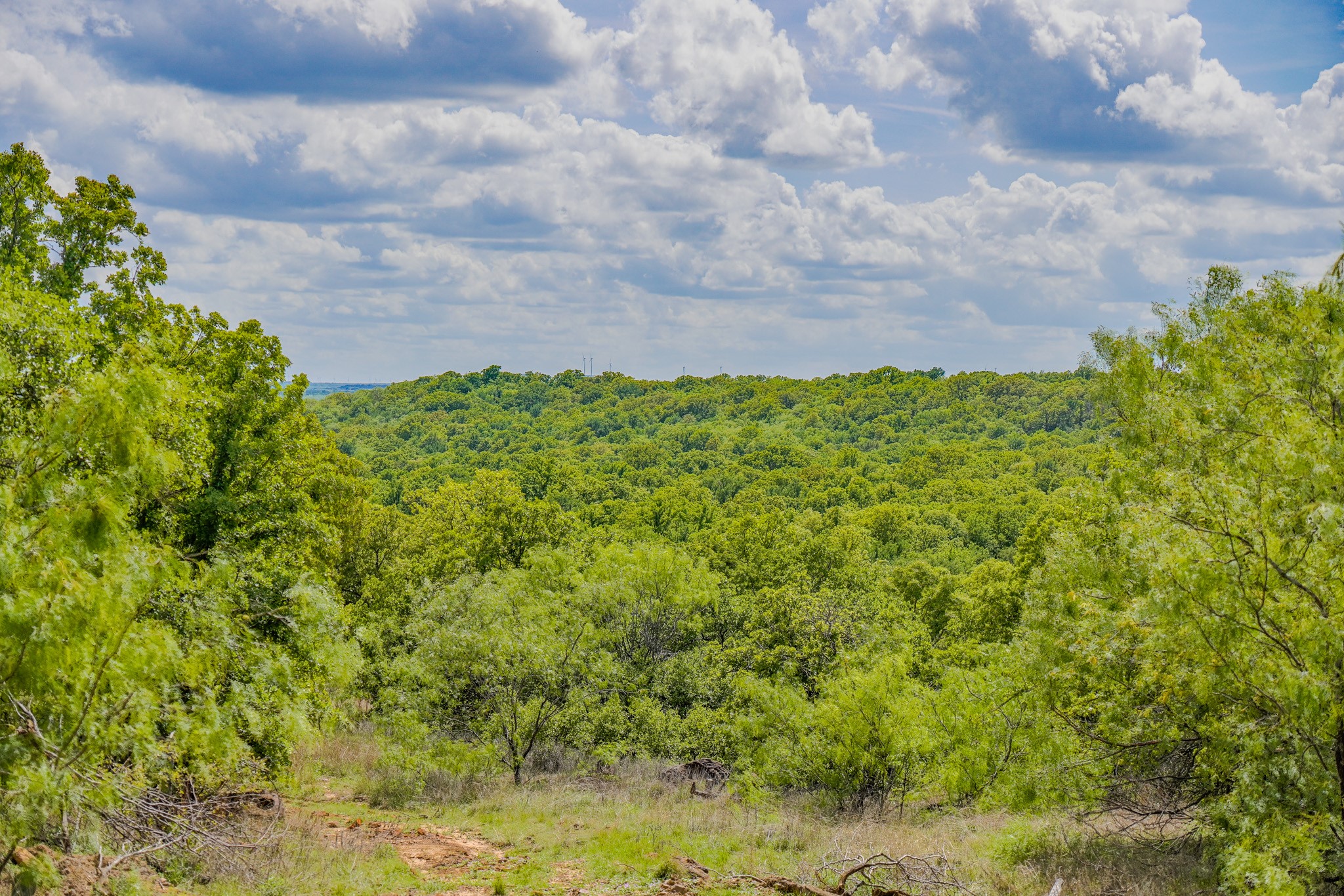 240 Acres Middlebrooks Lane Jacksboro TX 76458