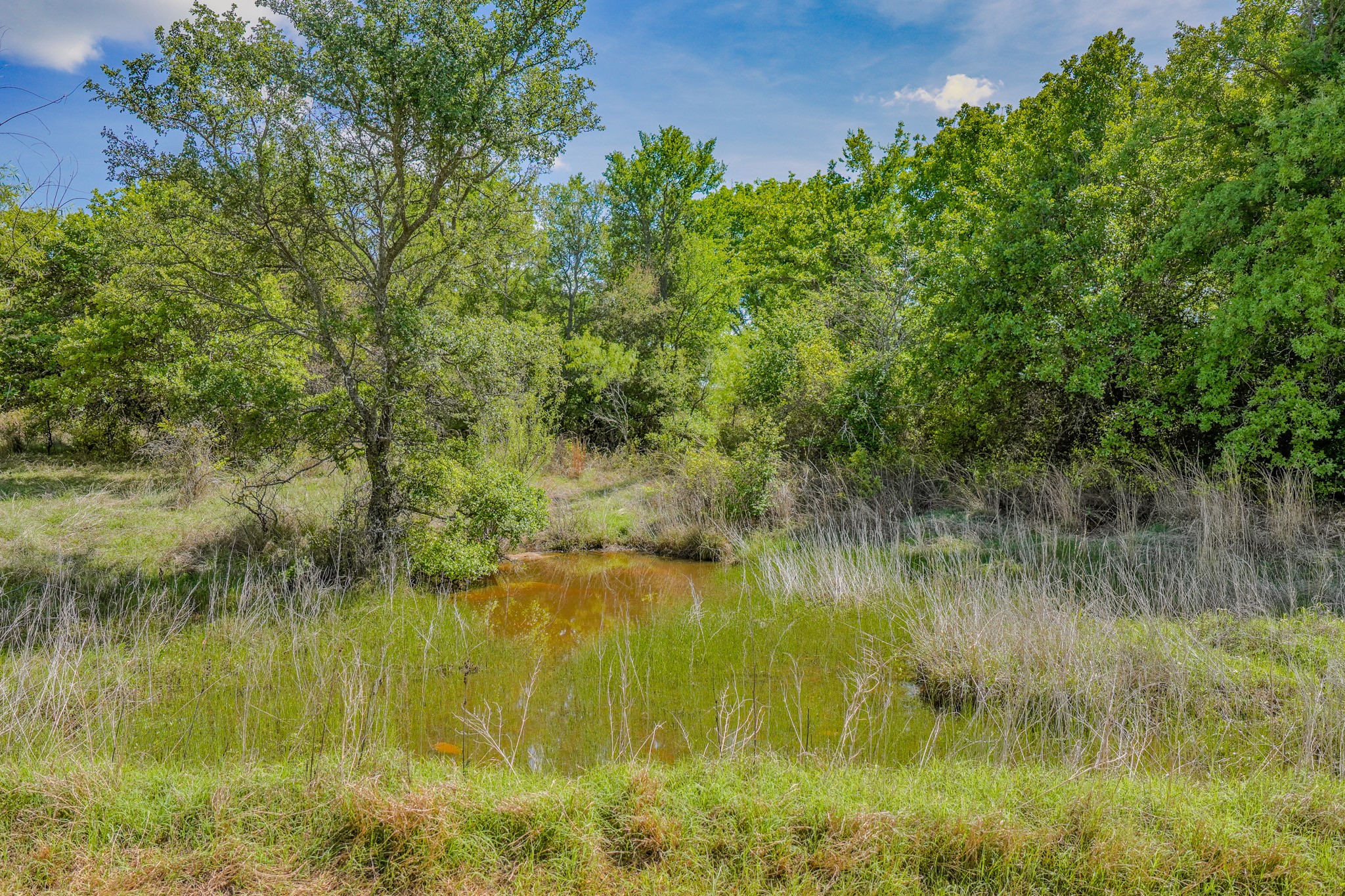 240 Acres Middlebrooks Lane Jacksboro TX 76458