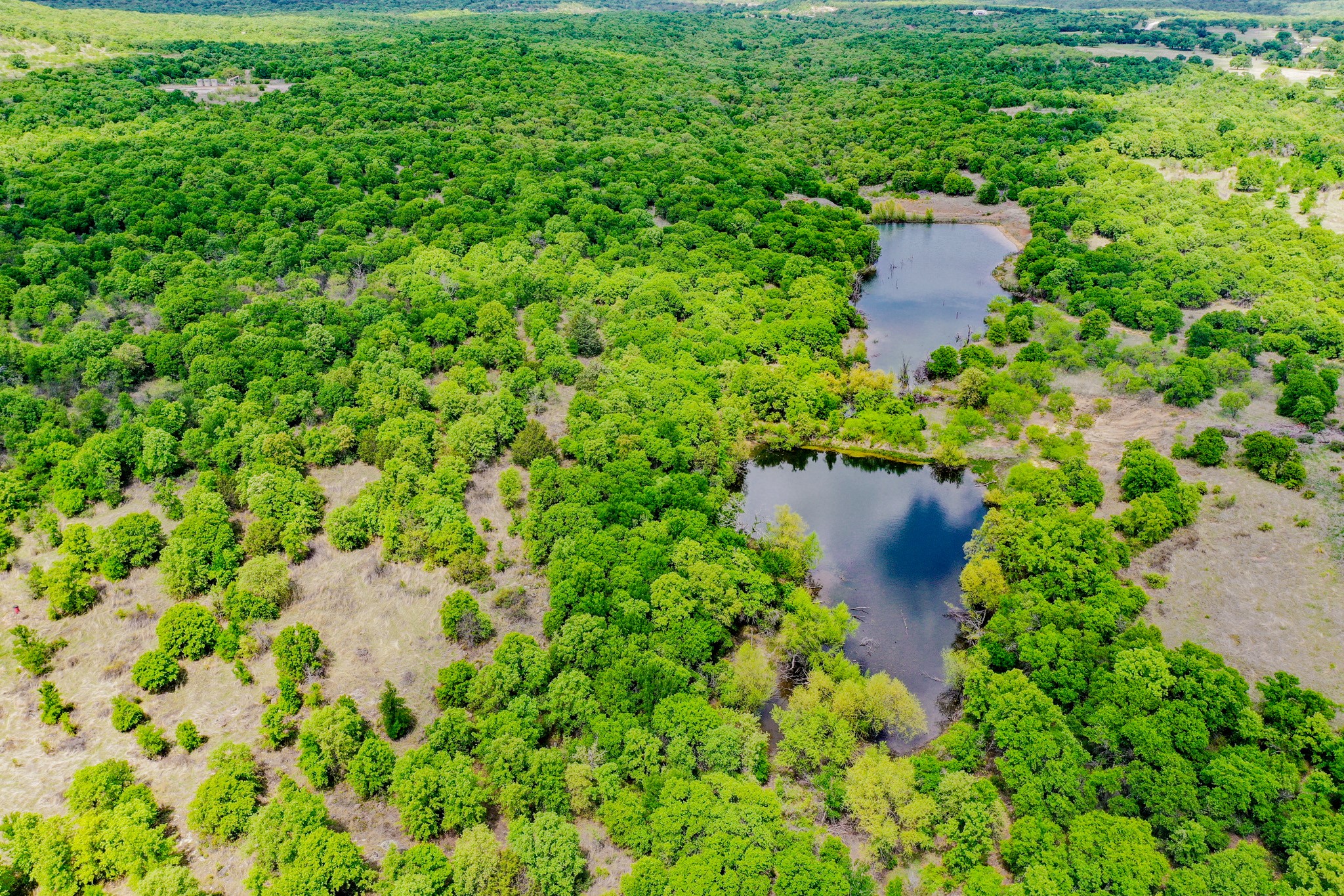 240 Acres Middlebrooks Lane Jacksboro TX 76458