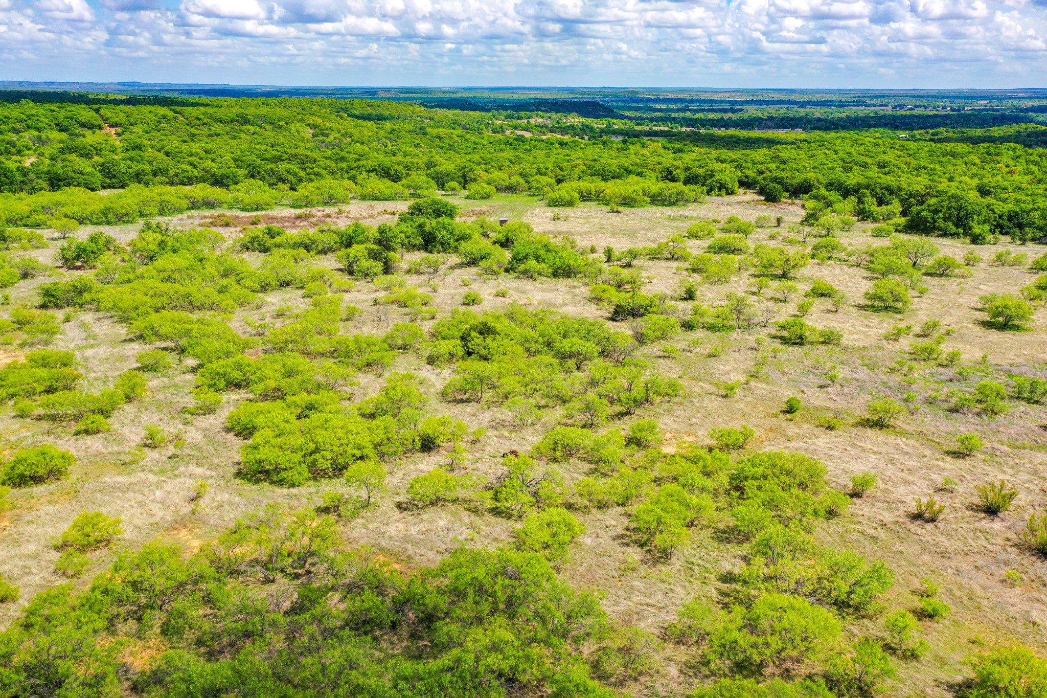 240 Acres Middlebrooks Lane Jacksboro TX 76458