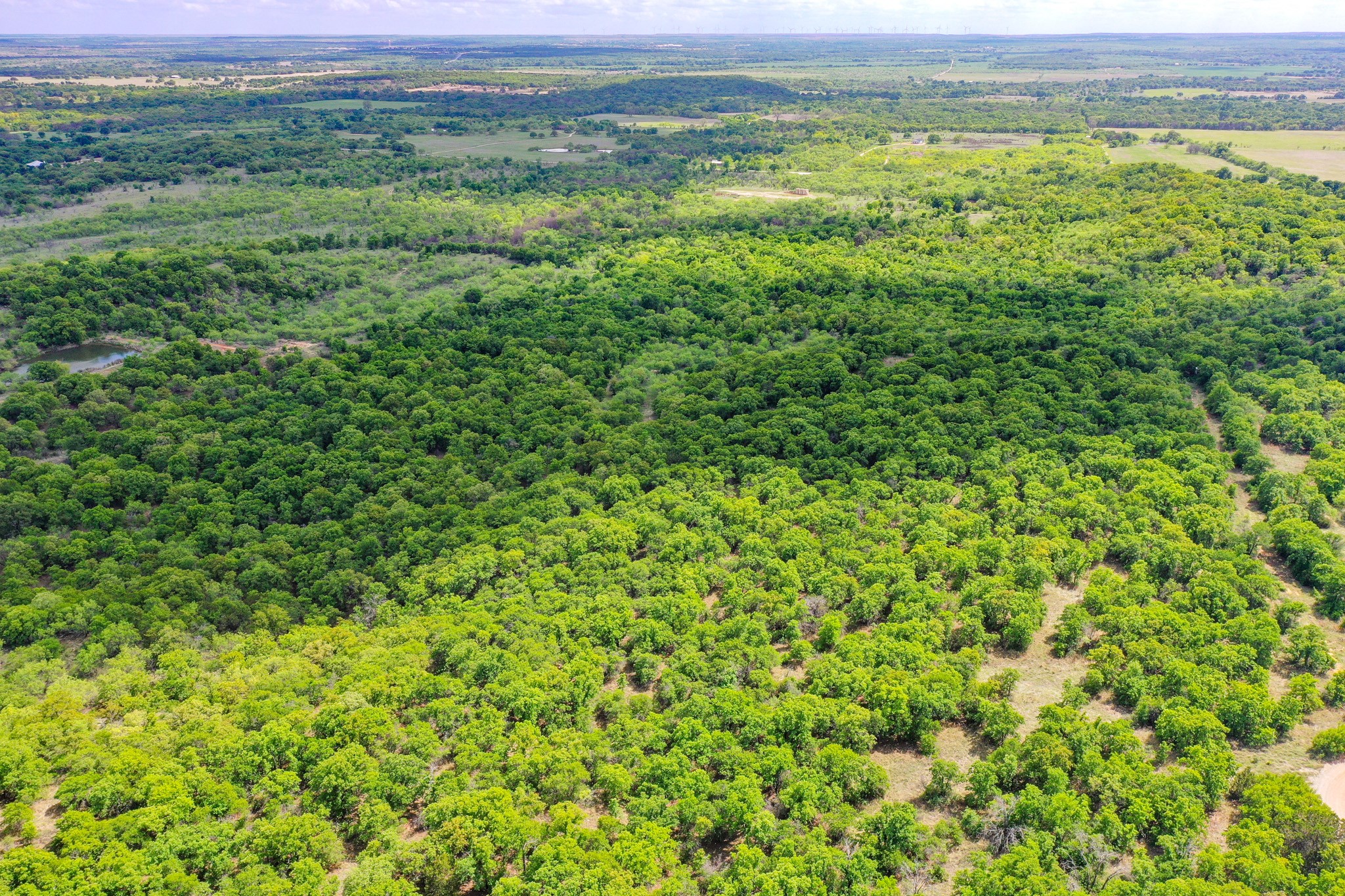 240 Acres Middlebrooks Lane Jacksboro TX 76458
