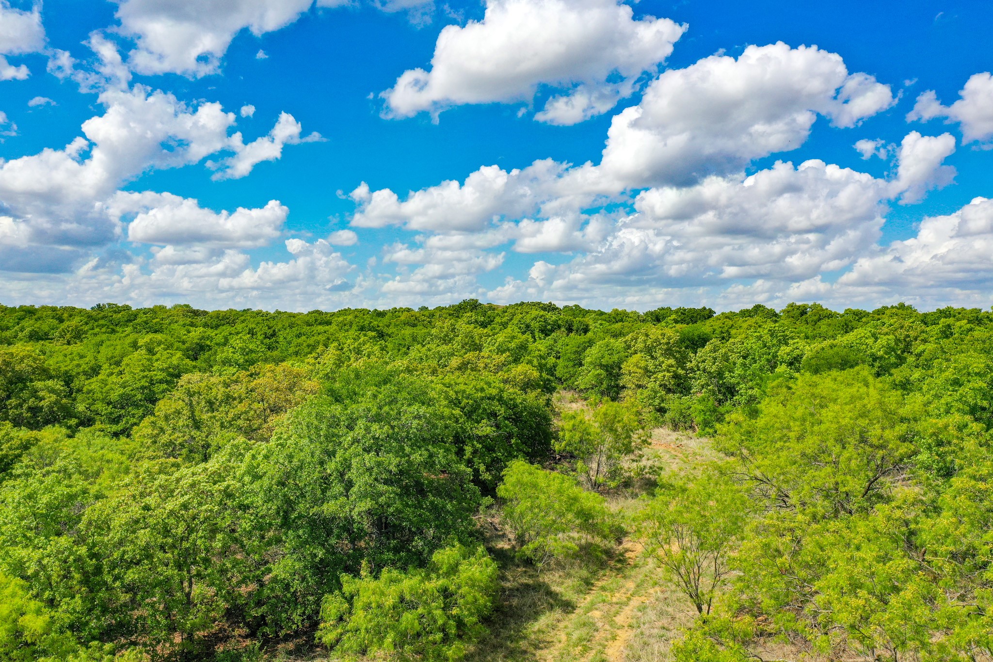 240 Acres Middlebrooks Lane Jacksboro TX 76458