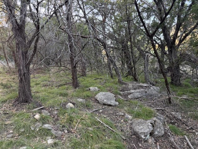 Lot 30 Glen Abbey Drive Possum Kingdom Lake TX 76449