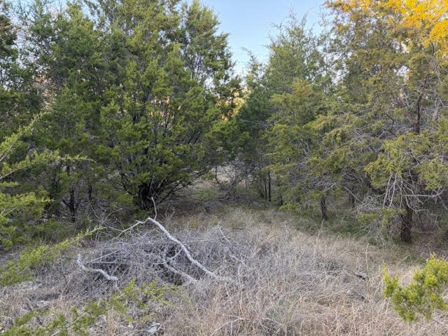 Lot 30 Glen Abbey Drive Possum Kingdom Lake TX 76449