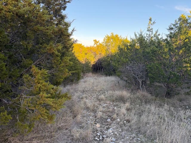 Lot 30 Glen Abbey Drive Possum Kingdom Lake TX 76449