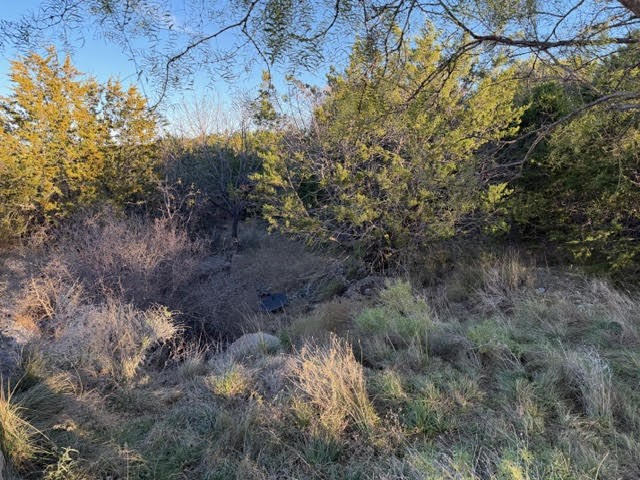 Lot 30 Glen Abbey Drive Possum Kingdom Lake TX 76449