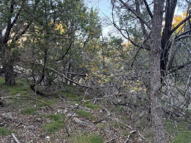 Lot 30 Glen Abbey Drive Possum Kingdom Lake TX 76449