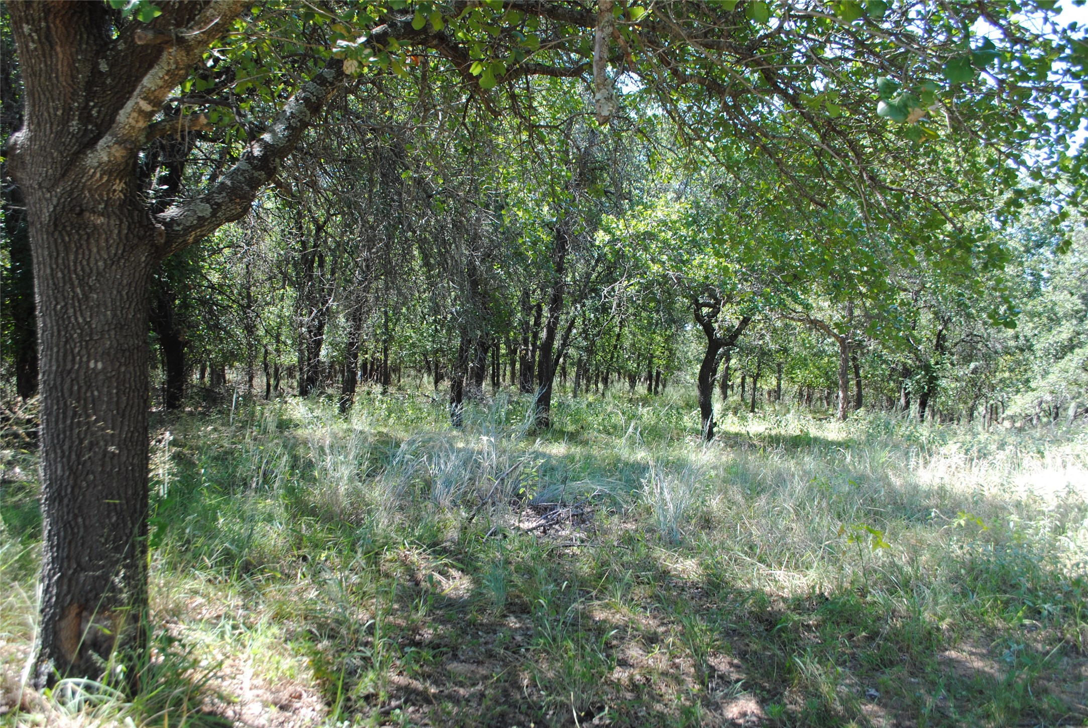 23 Promontory Port Comanche TX 76442