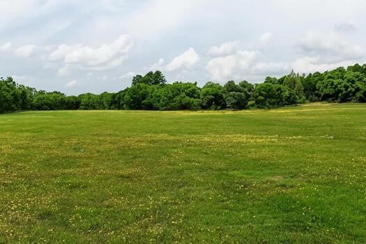 Tbd County 3848 Road Poolville TX 76487