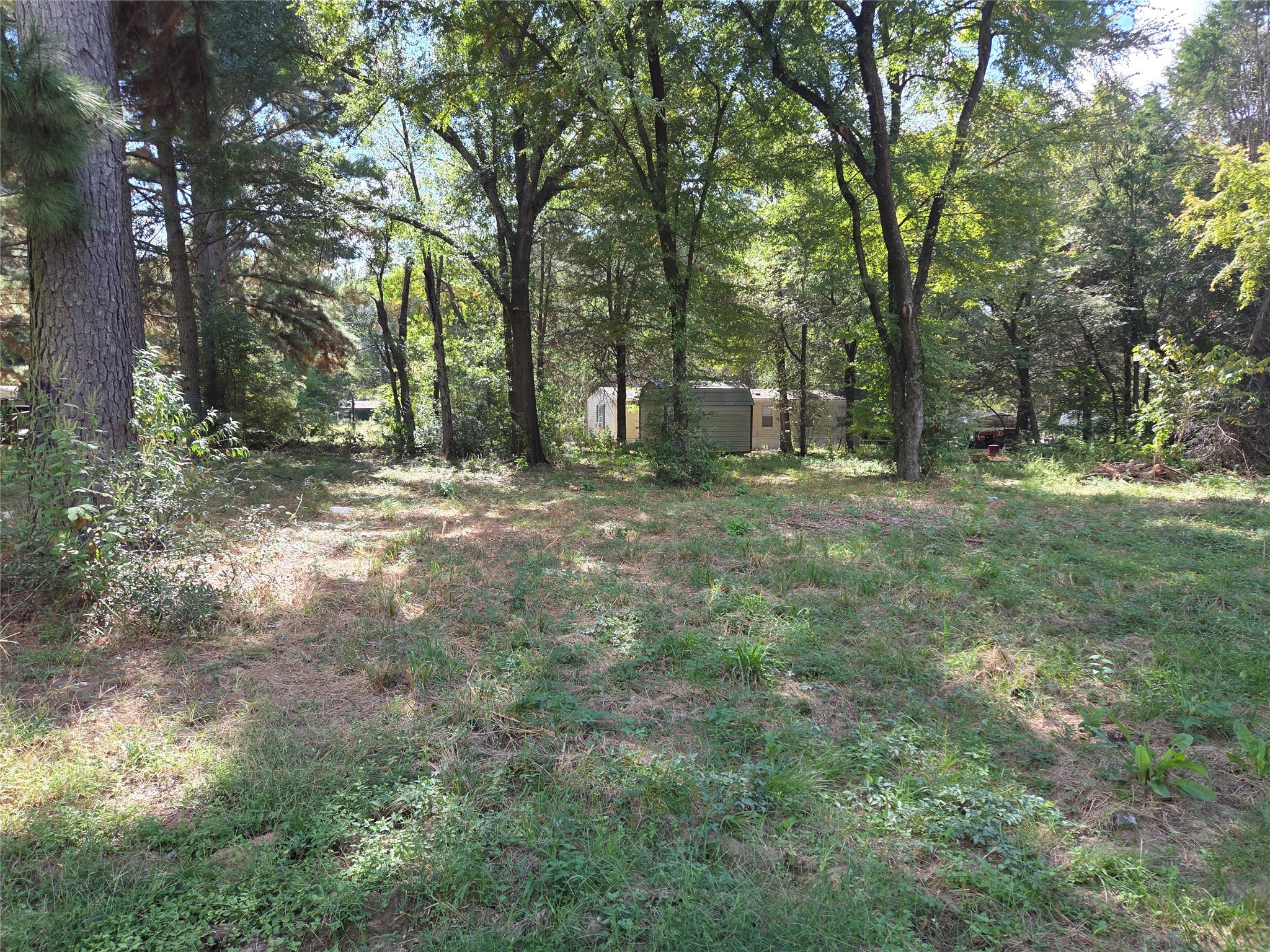 180 Cedar Drive Streetman TX 75859