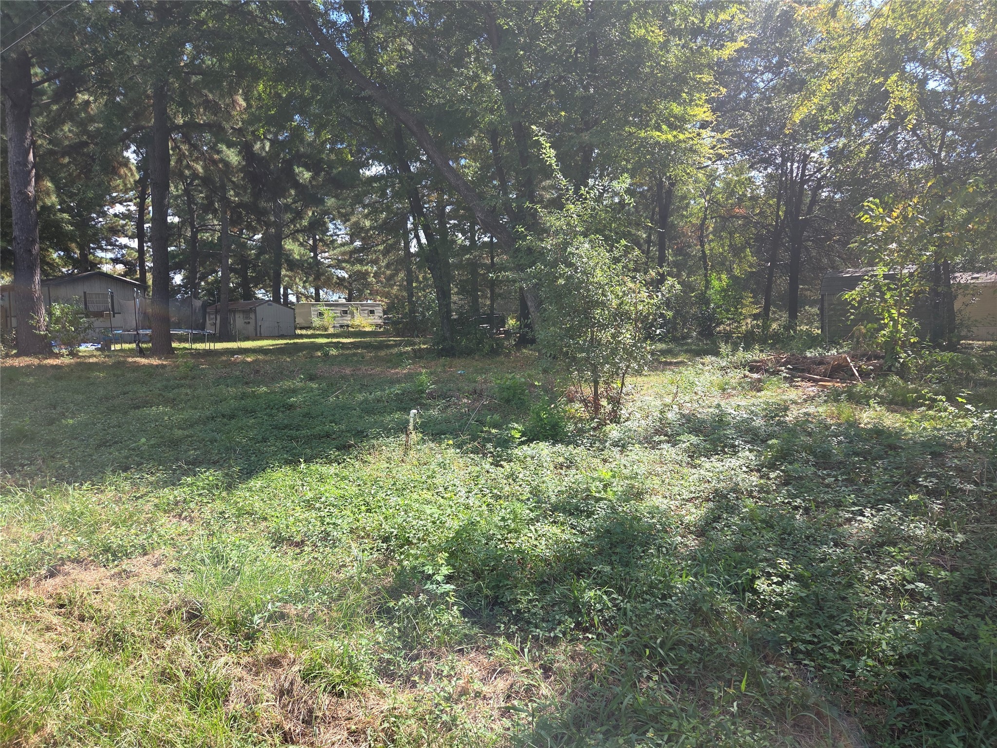 180 Cedar Drive Streetman TX 75859