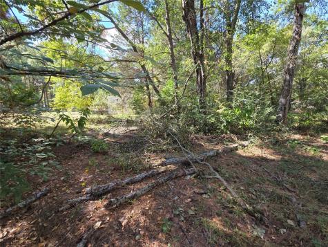 180 Cedar Drive Streetman TX 75859