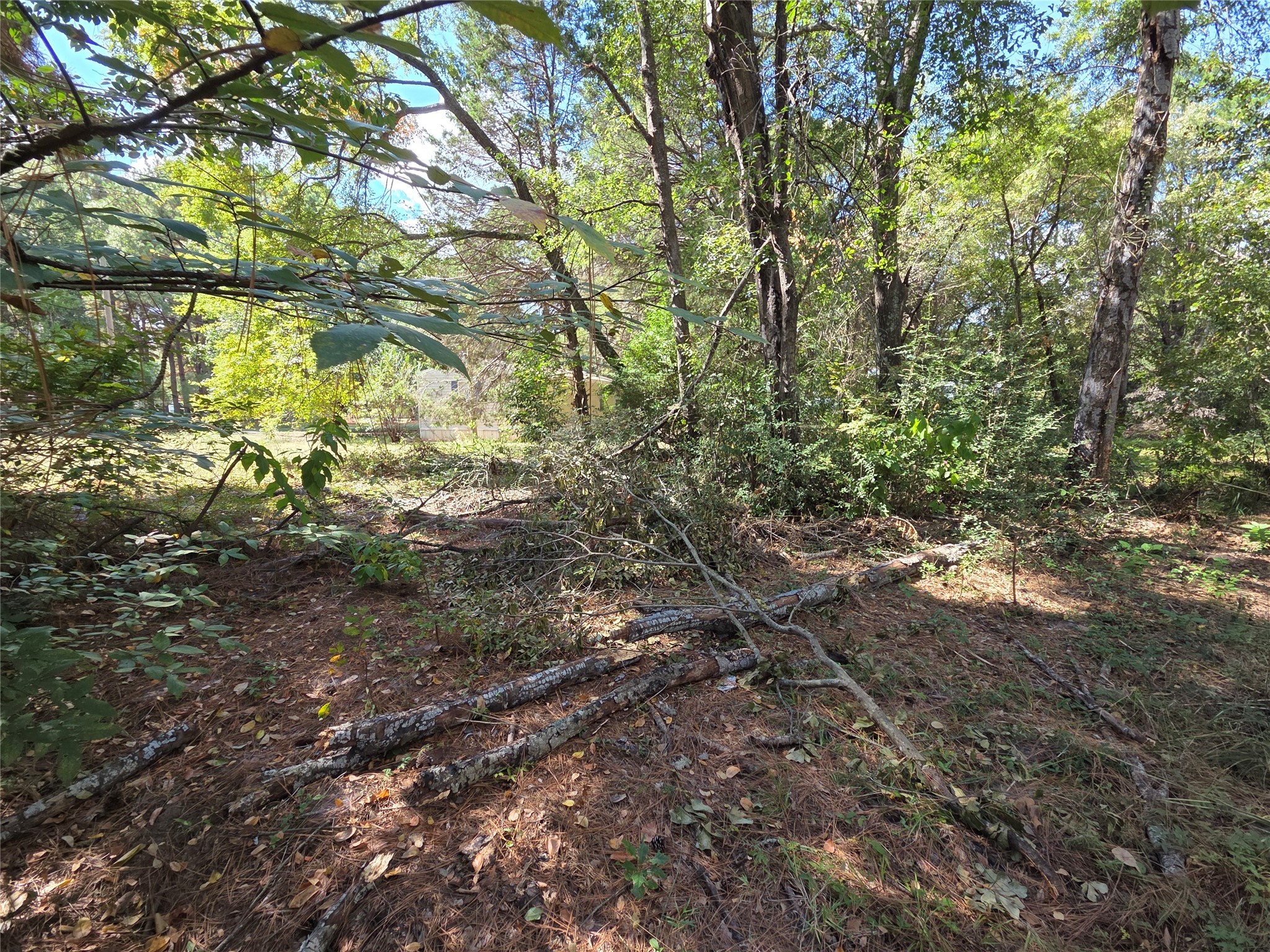 180 Cedar Drive Streetman TX 75859