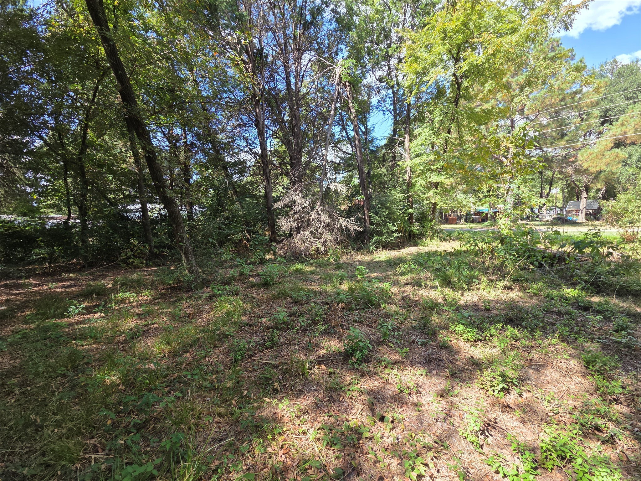 180 Cedar Drive Streetman TX 75859