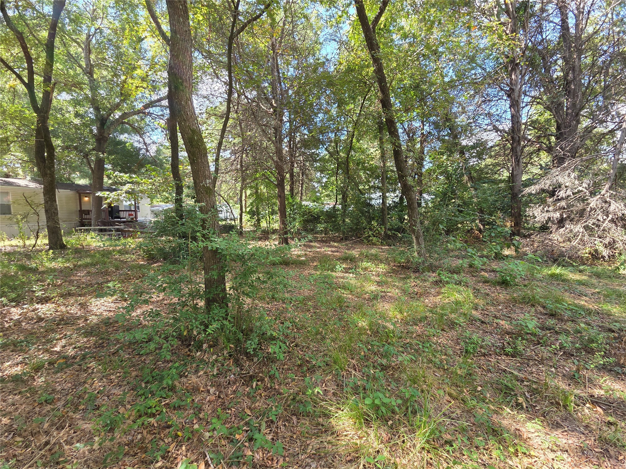 180 Cedar Drive Streetman TX 75859