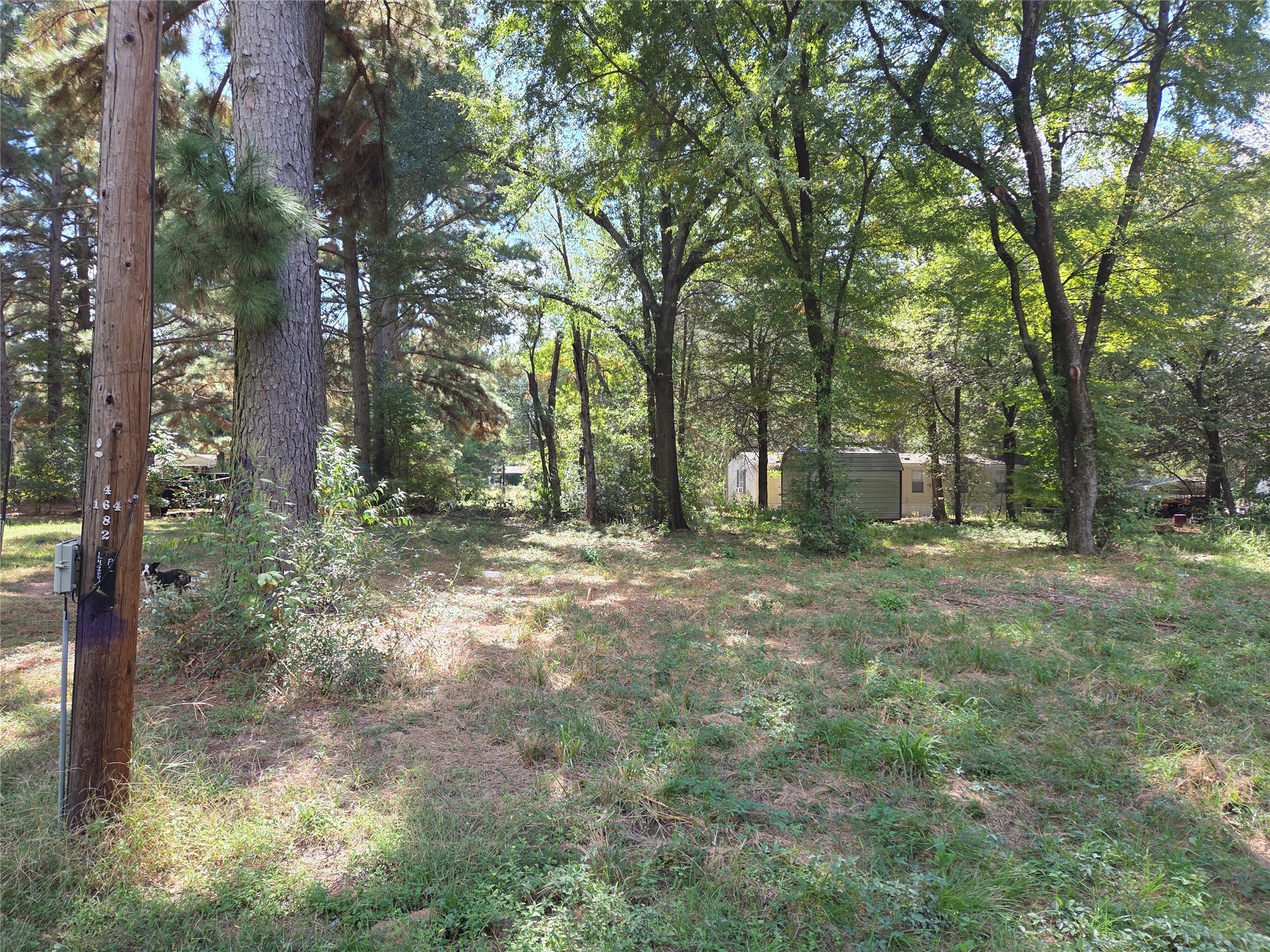 180 Cedar Drive Streetman TX 75859