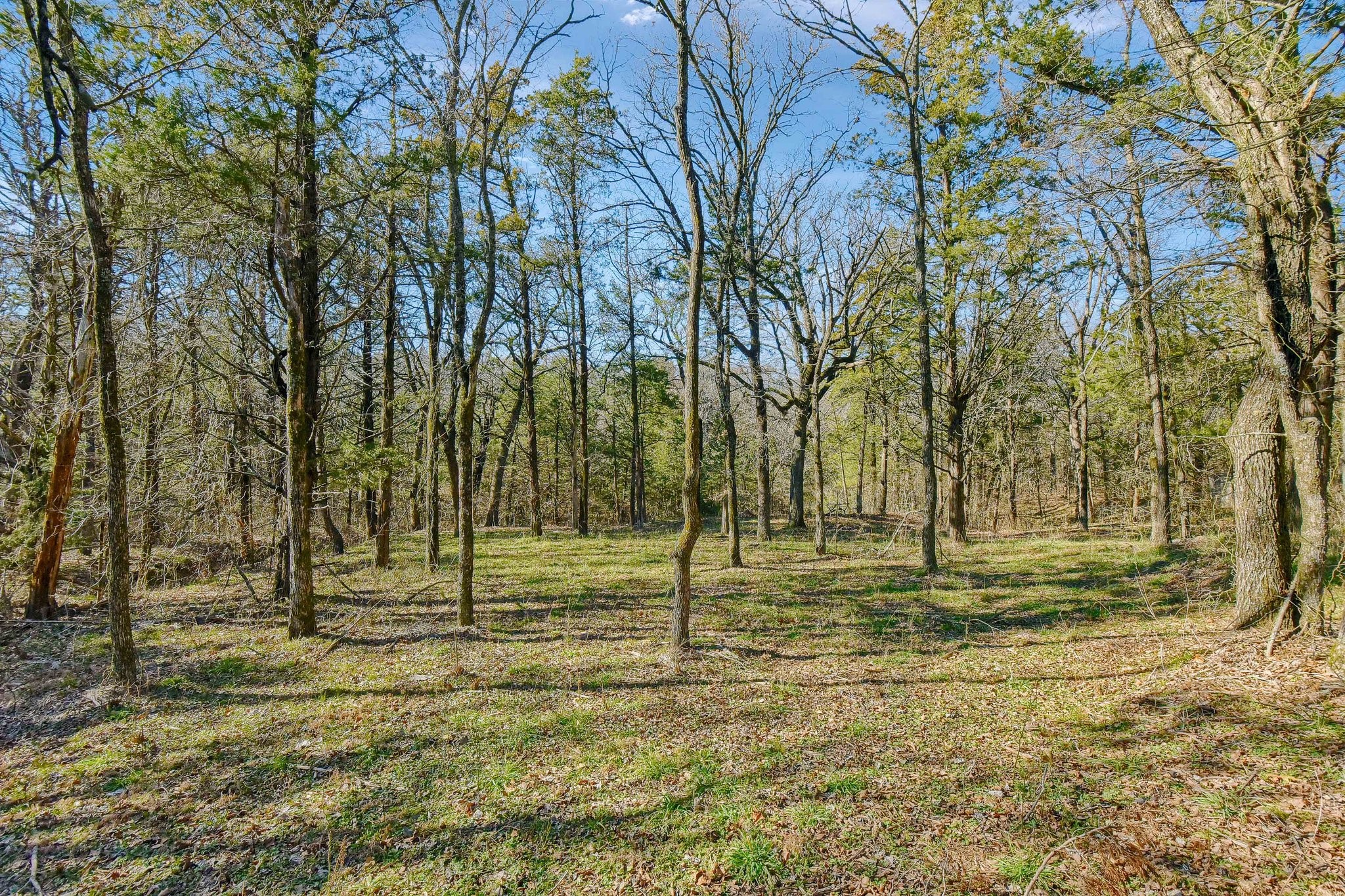 163 Twin Oaks Lane Whitesboro TX 76273