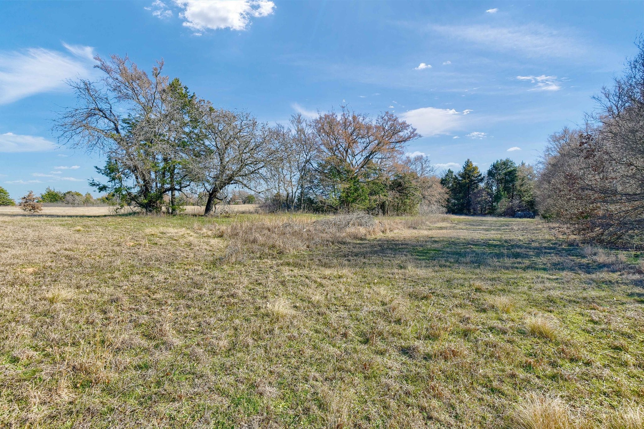 163 Twin Oaks Lane Whitesboro TX 76273