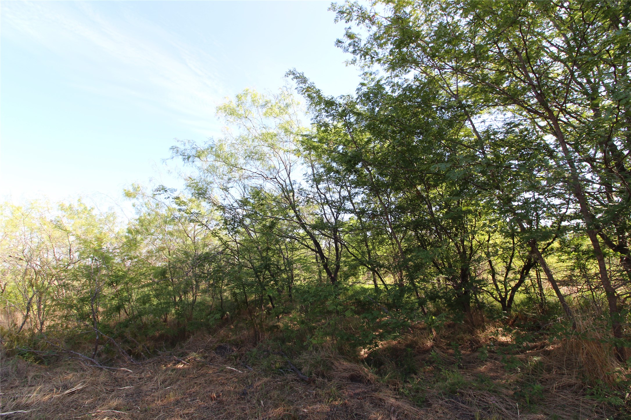Tbd Lot 9 Fm 2860 Kaufman TX 75142