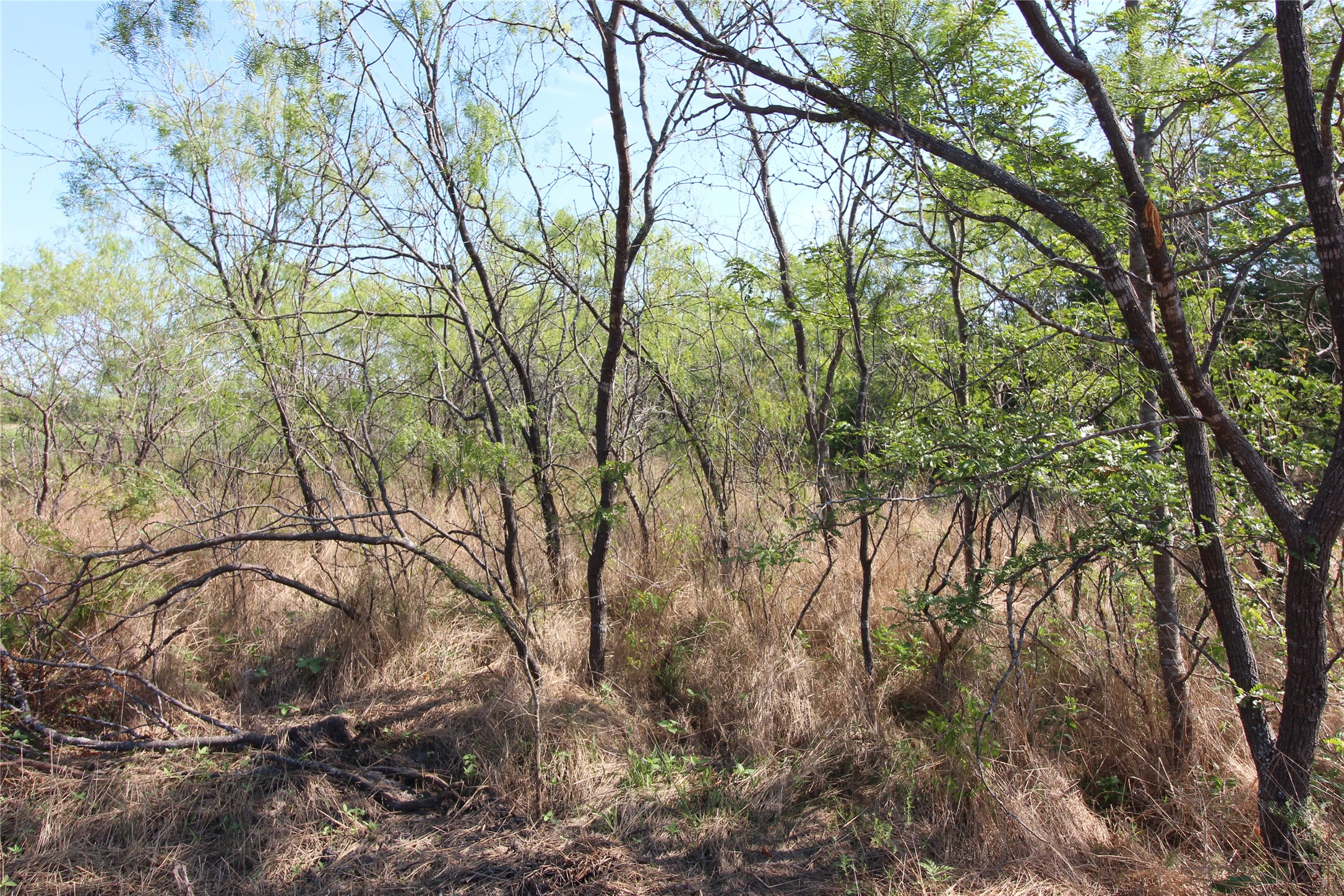Tbd Lot 9 Fm 2860 Kaufman TX 75142