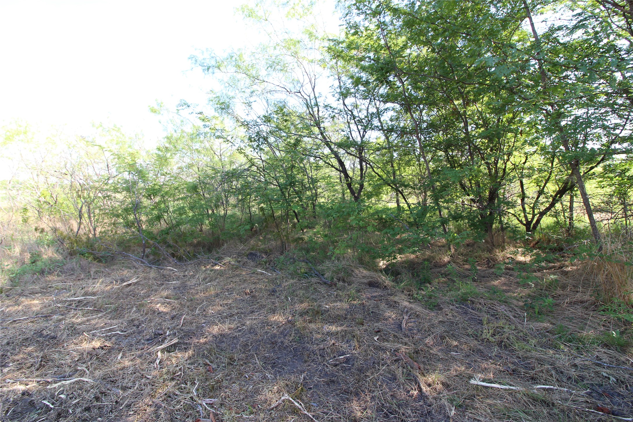 Tbd Lot 9 Fm 2860 Kaufman TX 75142