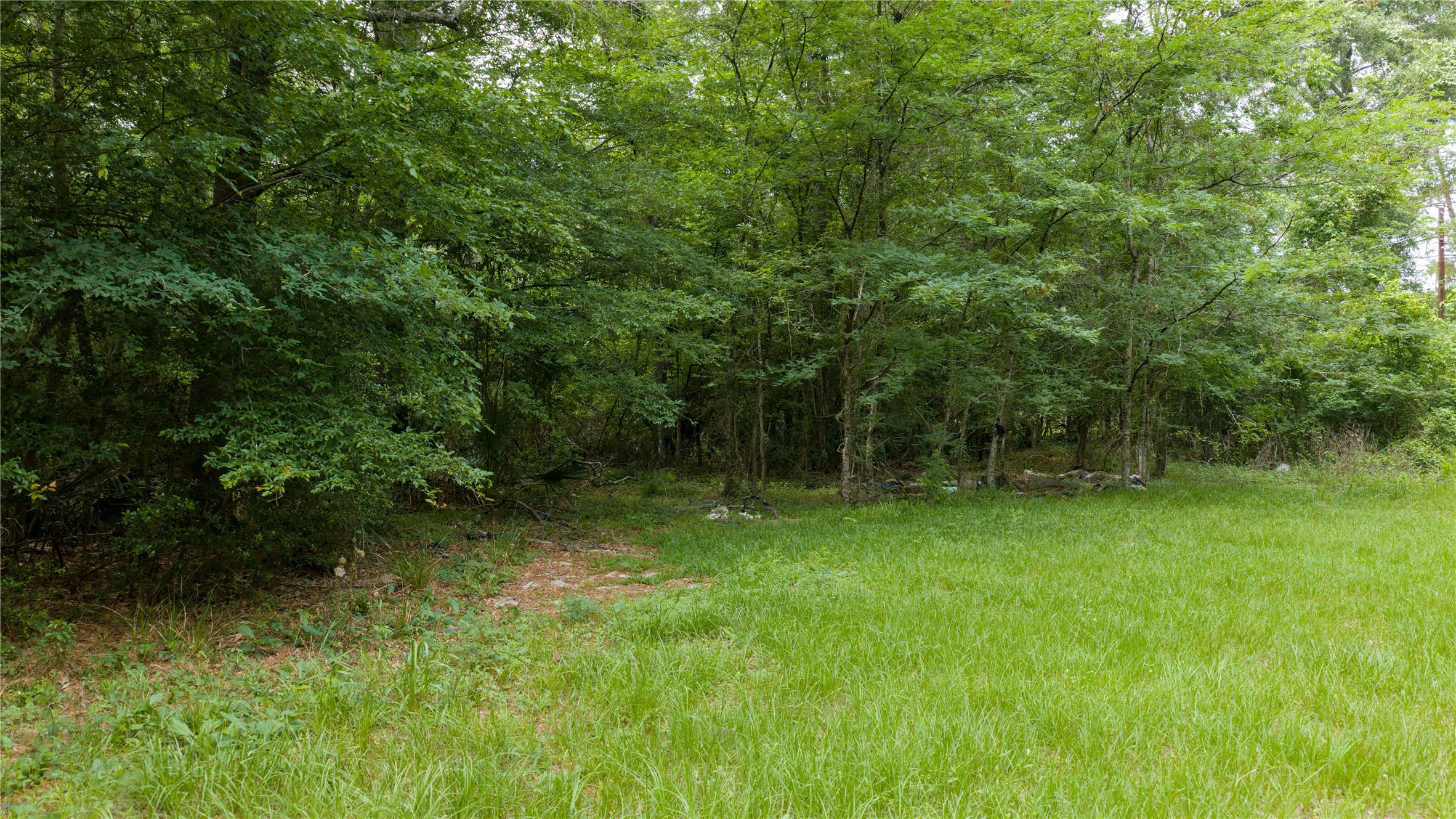 Tbd Drew Lane Conroe TX 77304