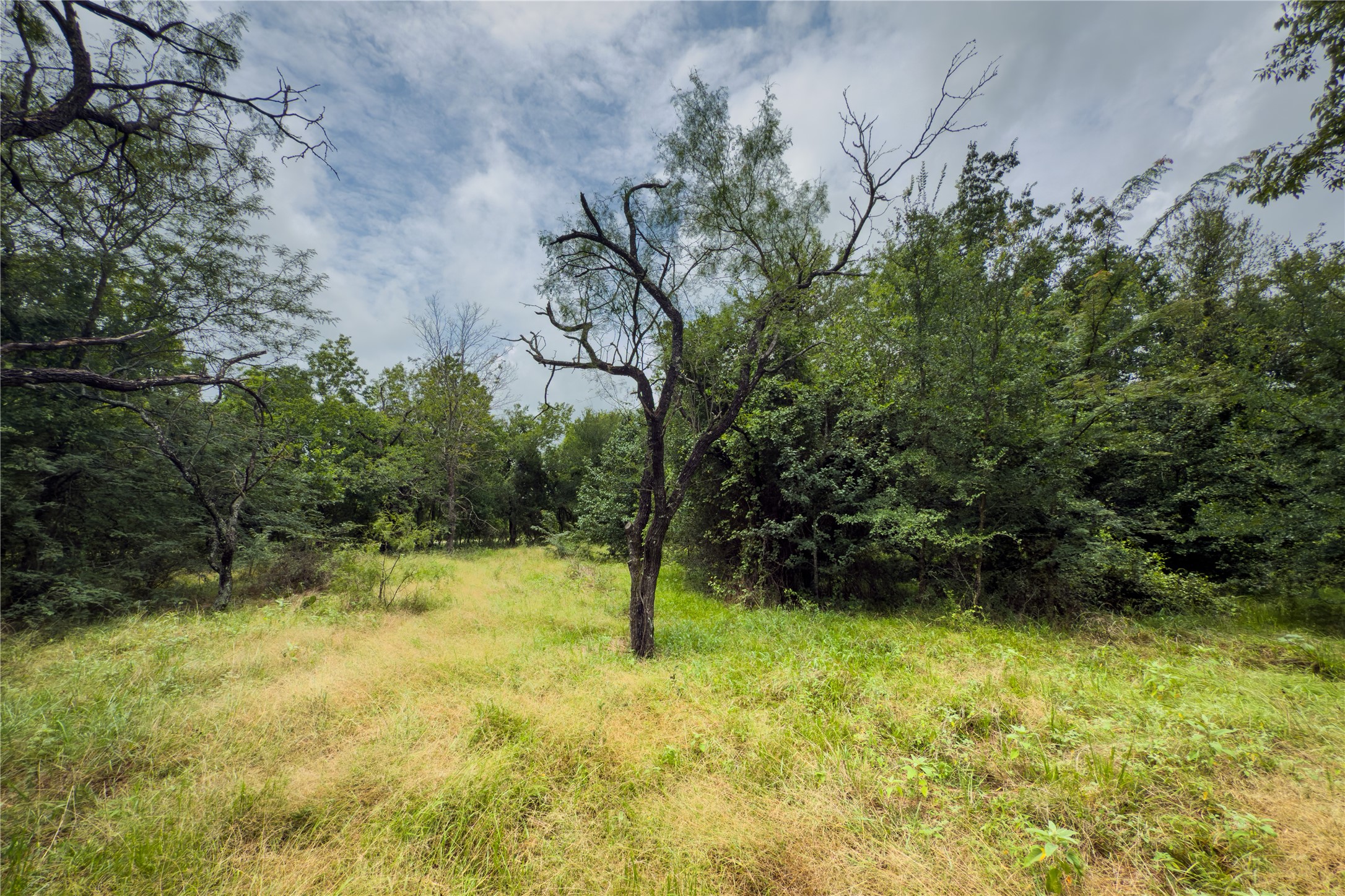 Lot 12 County Road 173 Marlin TX 76661