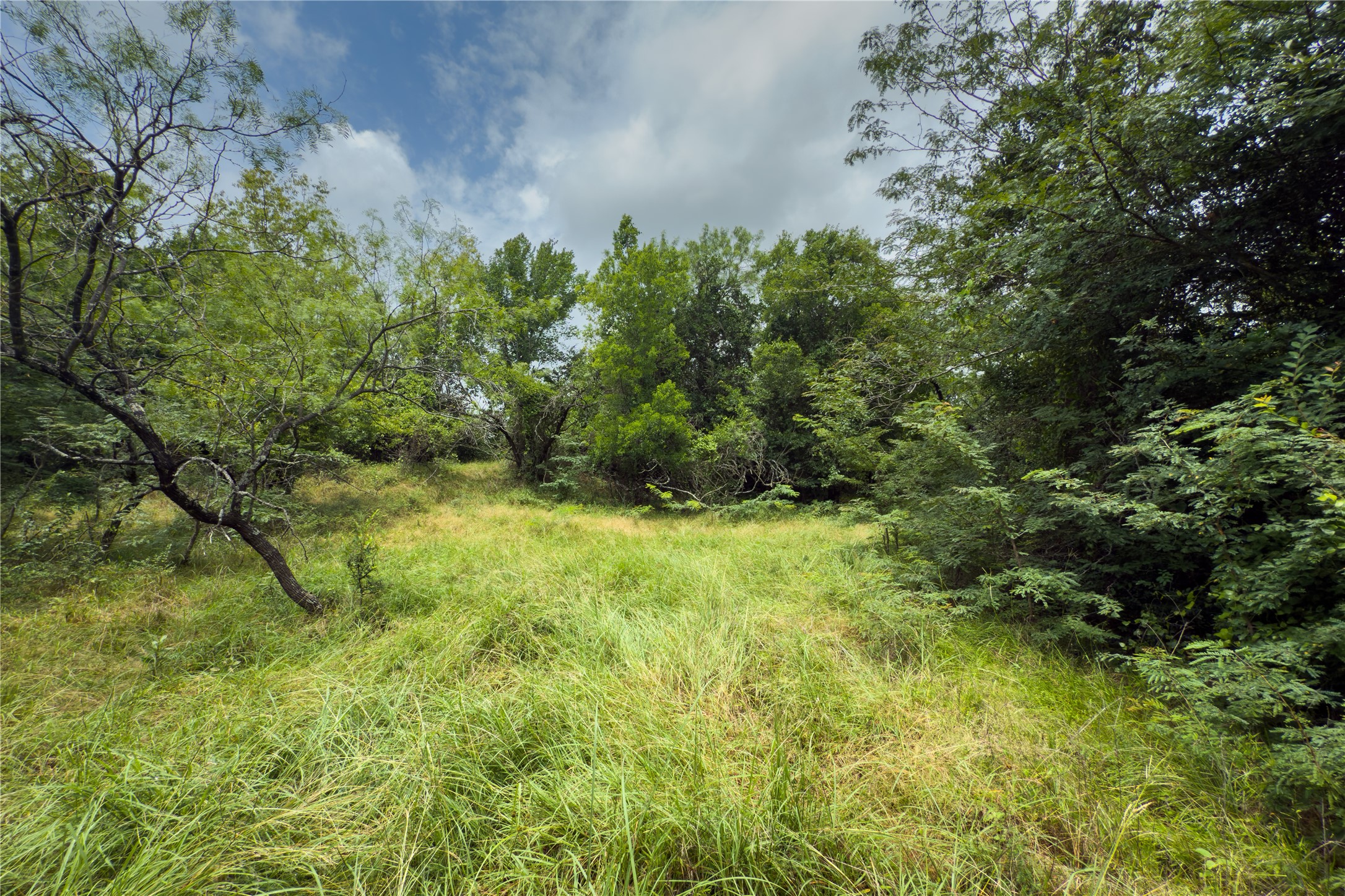 Lot 12 County Road 173 Marlin TX 76661