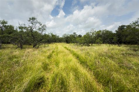 Lot 12 County Road 173 Marlin TX 76661