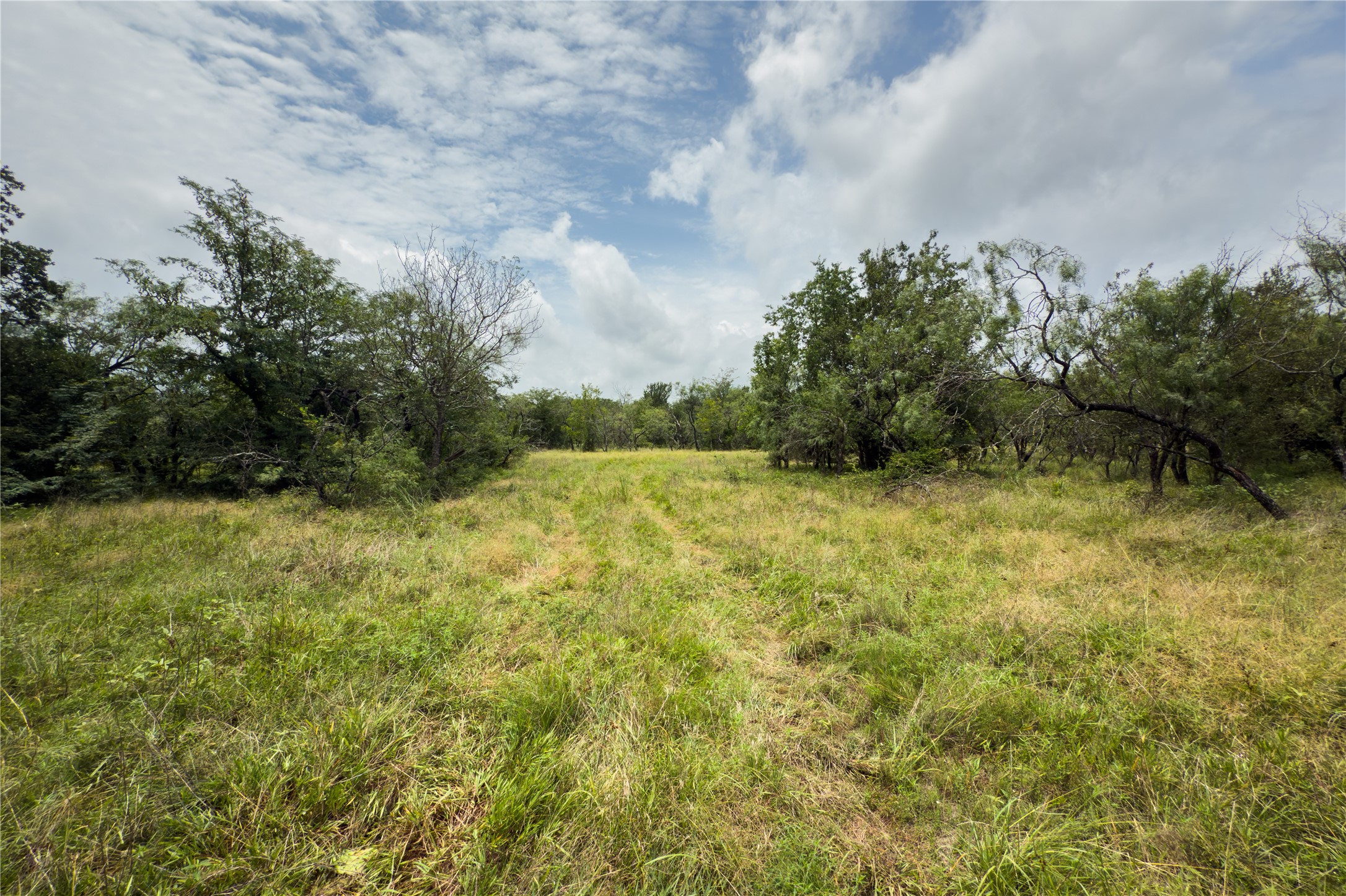 Lot 12 County Road 173 Marlin TX 76661
