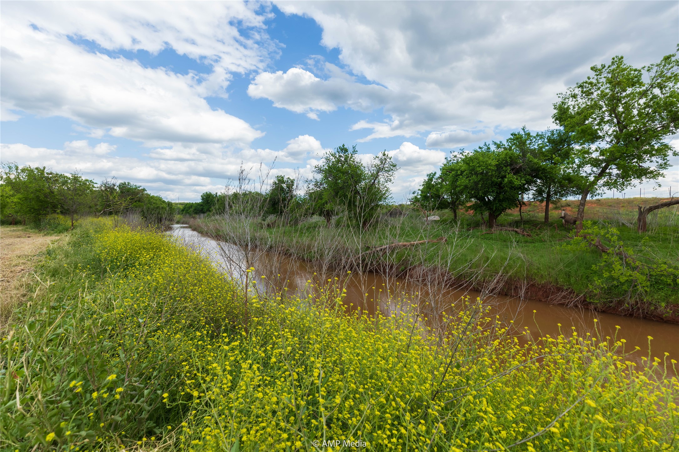 Lot 1 Tbd Cr 327 Abilene TX 79601