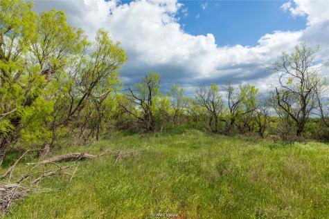Lot 1 Tbd Cr 327 Abilene TX 79601