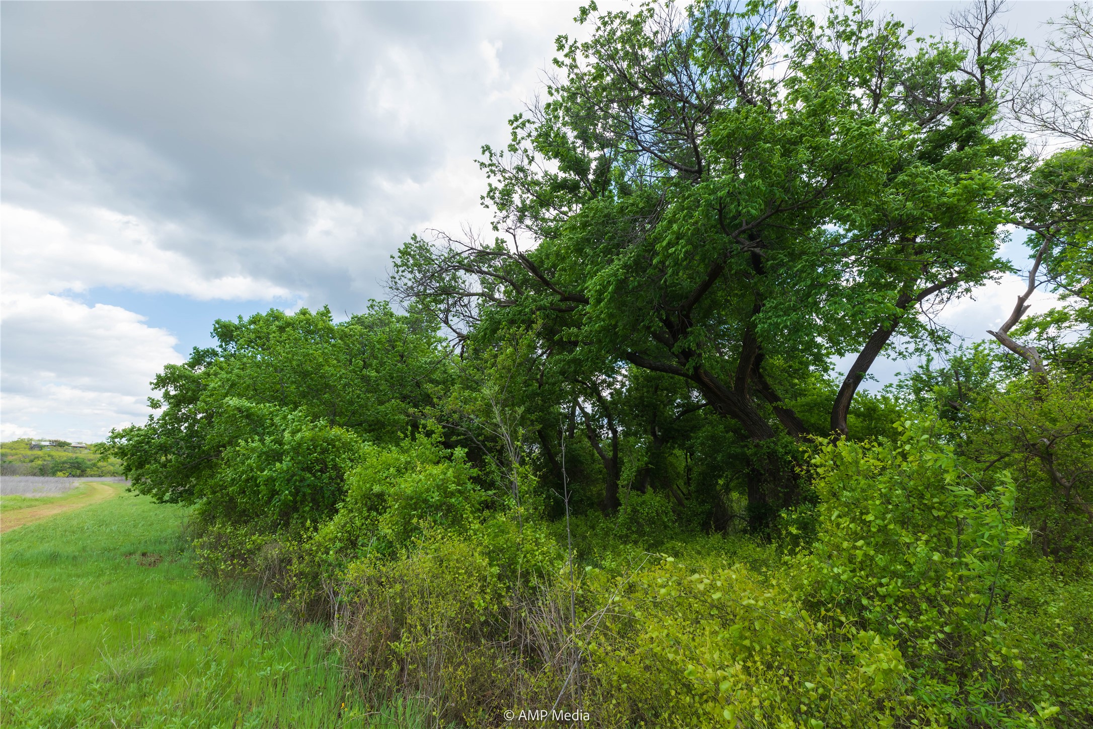 Lot 1 Tbd Cr 327 Abilene TX 79601