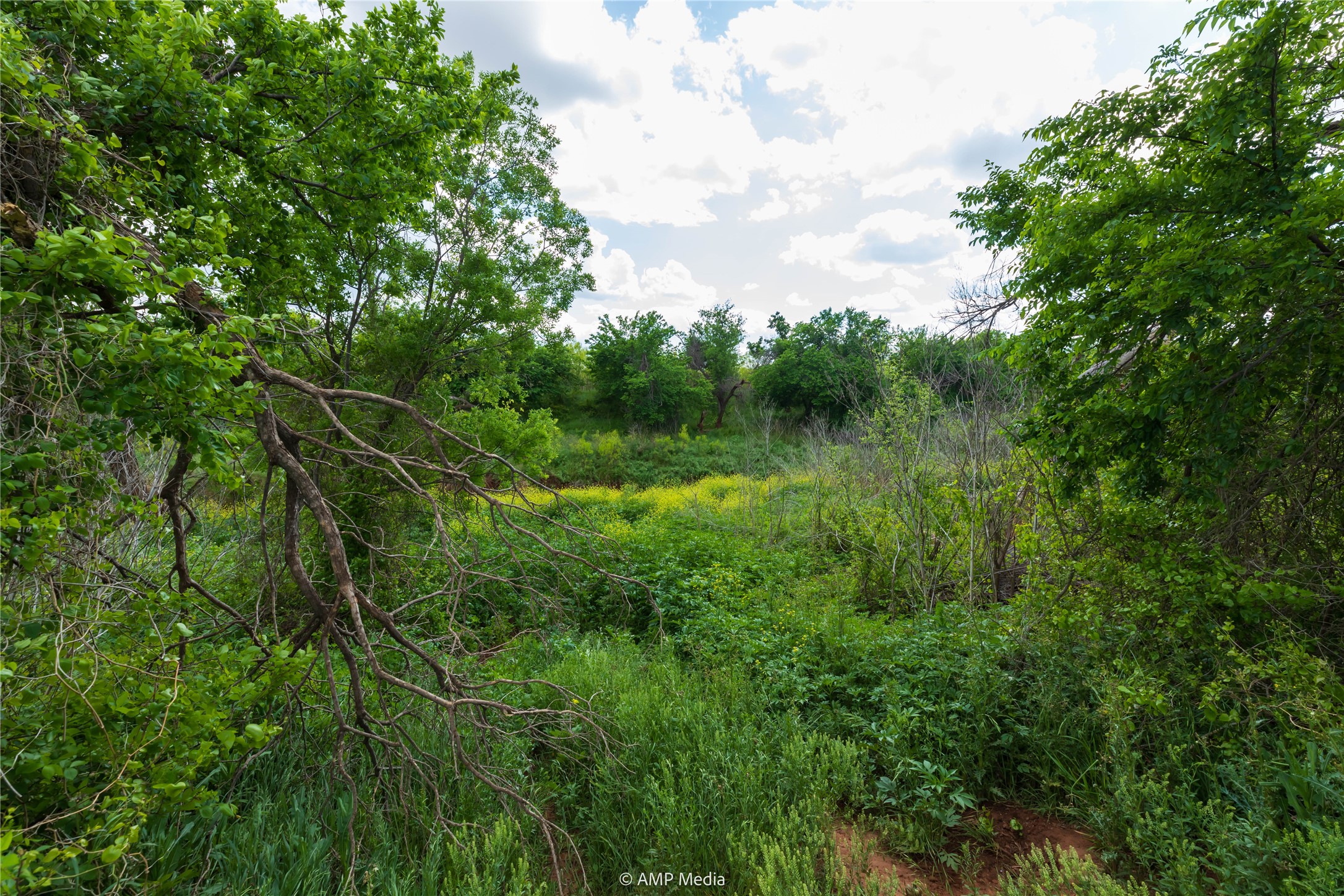 Lot 1 Tbd Cr 327 Abilene TX 79601