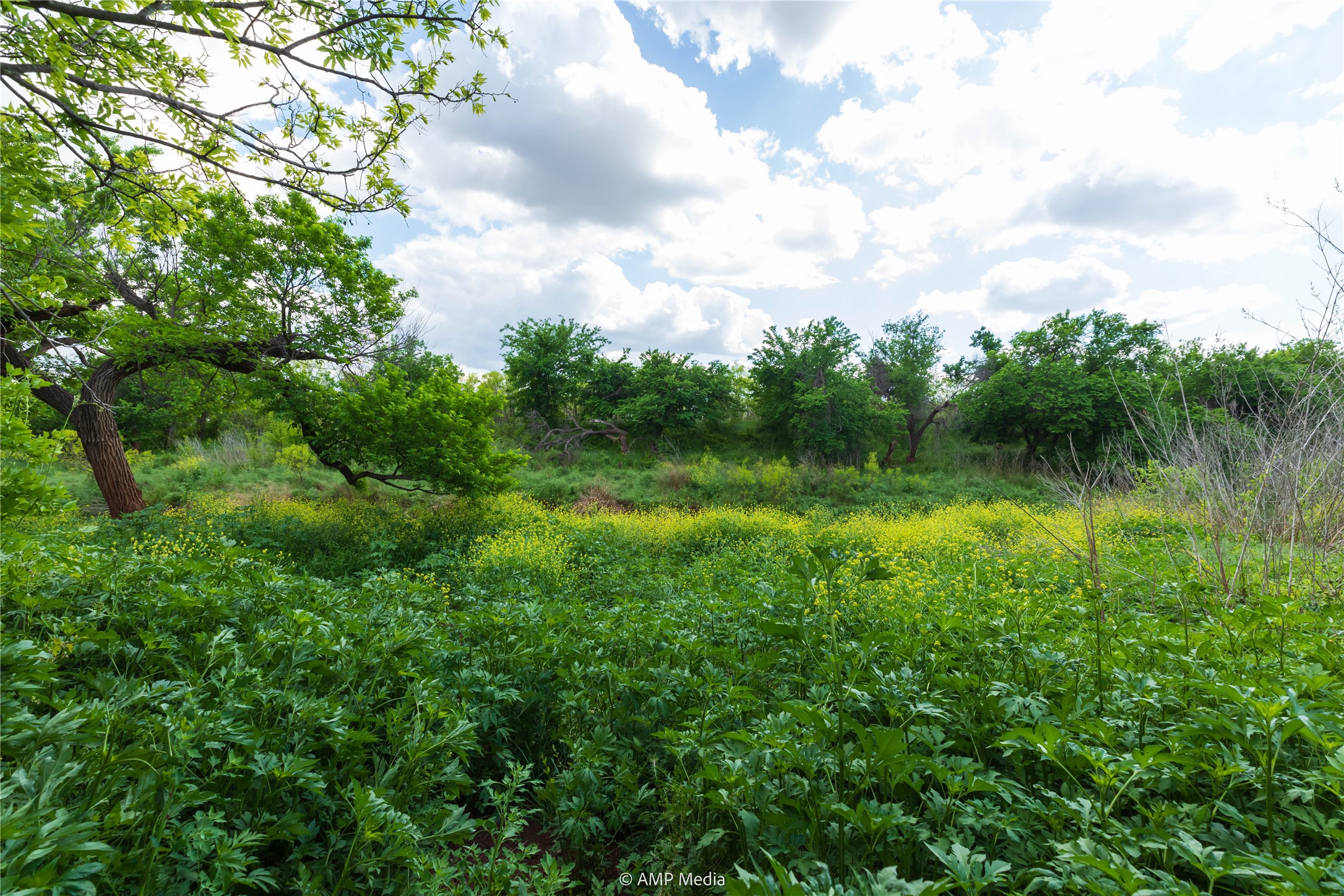 Lot 1 Tbd Cr 327 Abilene TX 79601
