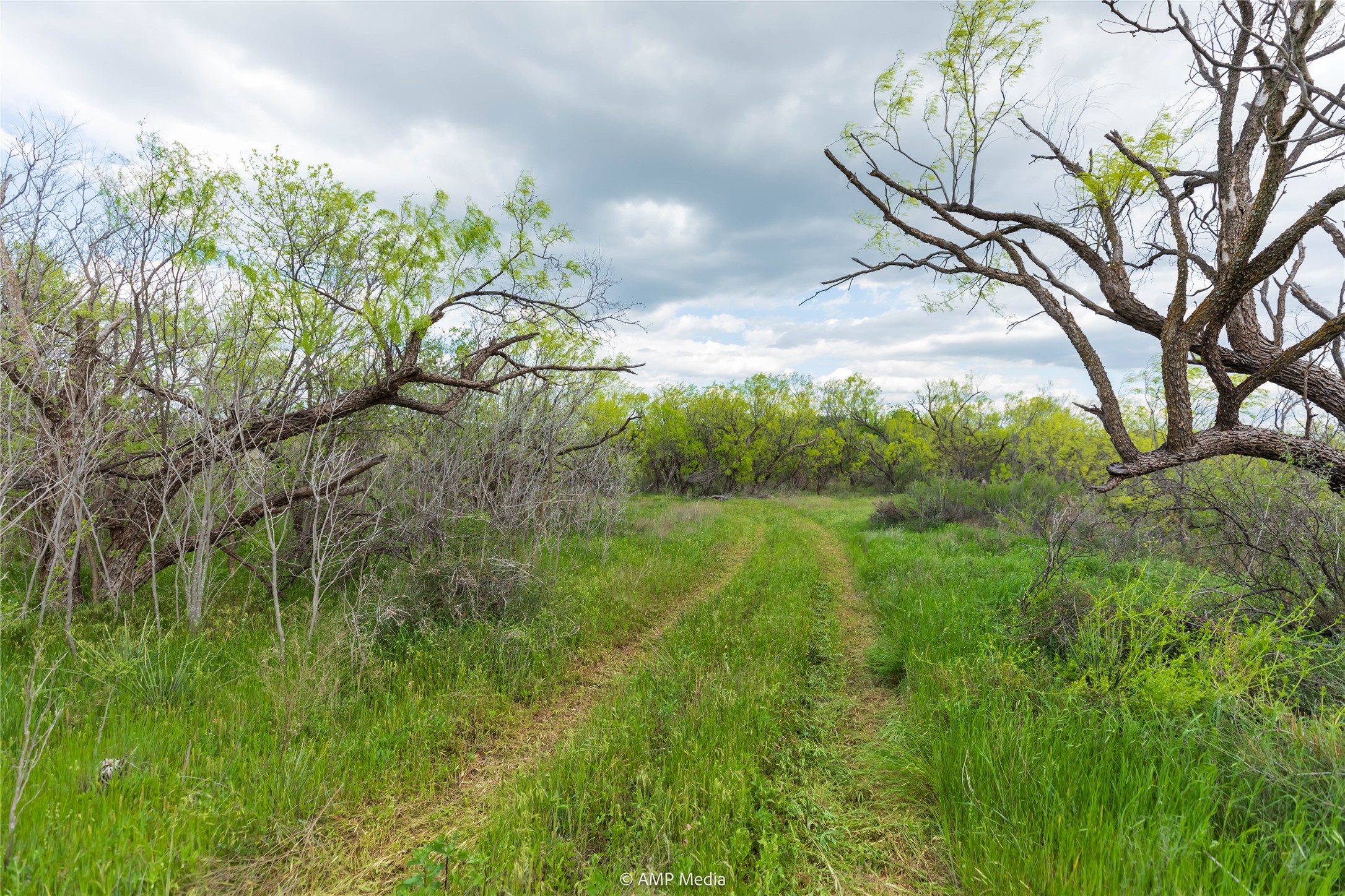 Lot 1 Tbd Cr 327 Abilene TX 79601