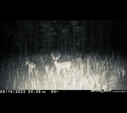 0000 Langham Road Kountze TX 77625