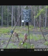0000 Langham Road Kountze TX 77625