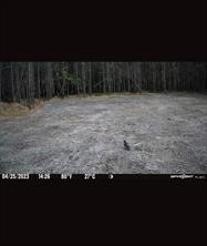 0000 Langham Road Kountze TX 77625