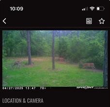 0000 Langham Road Kountze TX 77625