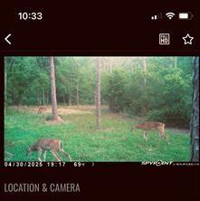 0000 Langham Road Kountze TX 77625