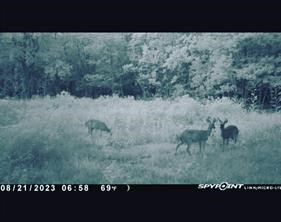 0000 Langham Road Kountze TX 77625