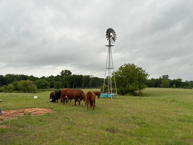 599 Lone Star Poolville TX 76487