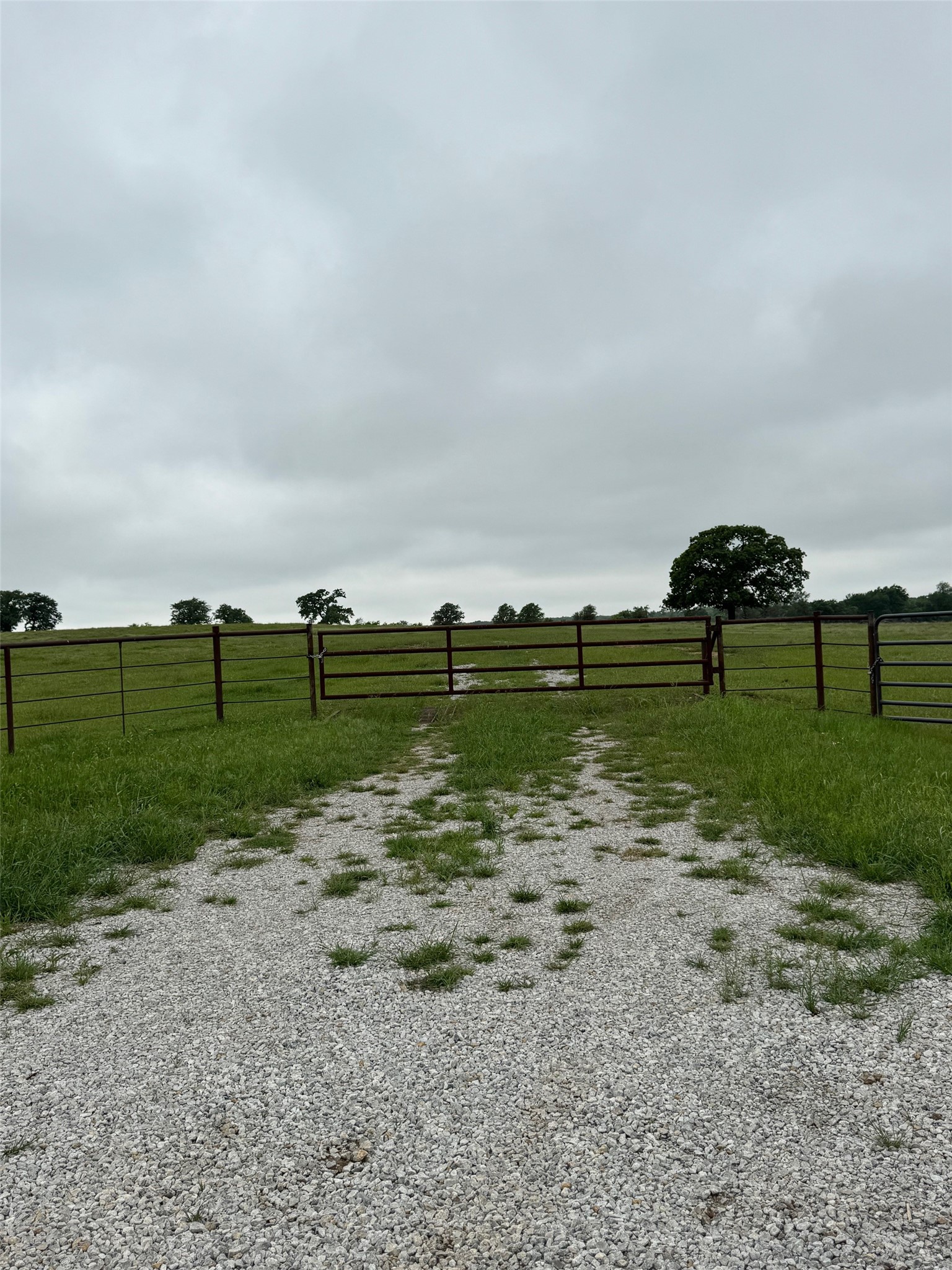 599 Lone Star Poolville TX 76487