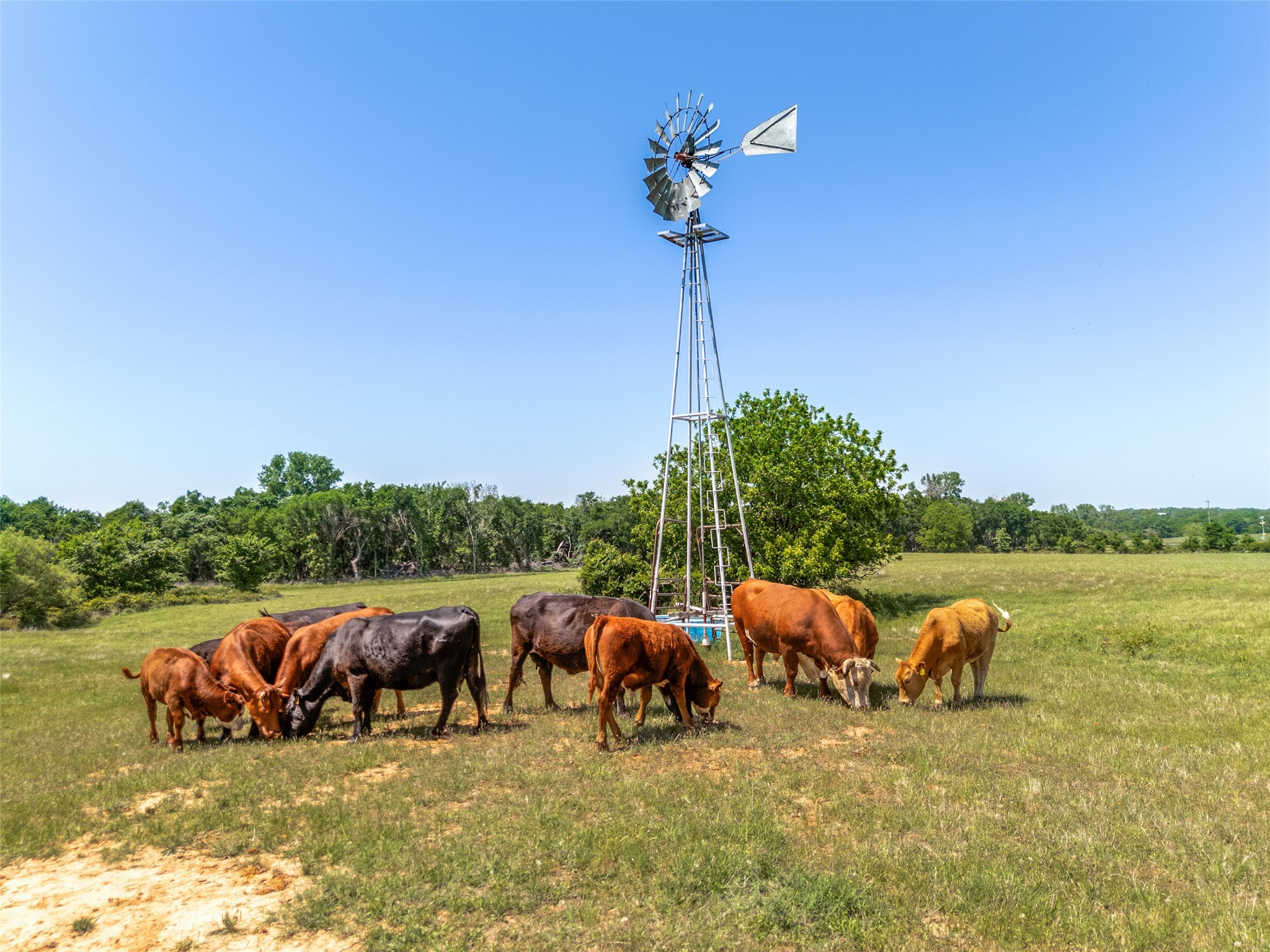 599 Lone Star Poolville TX 76487