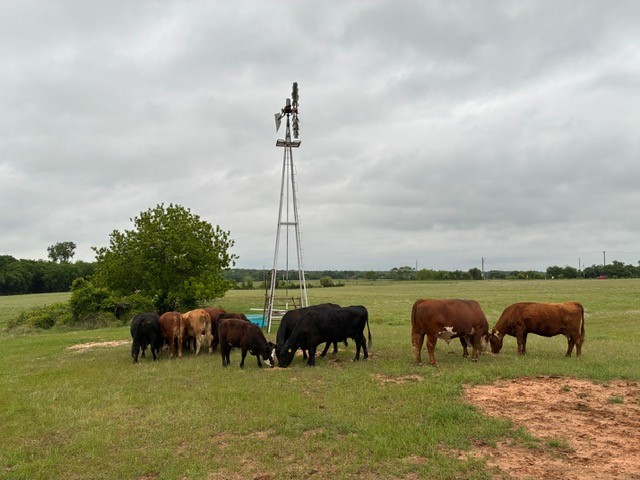 599 Lone Star Poolville TX 76487