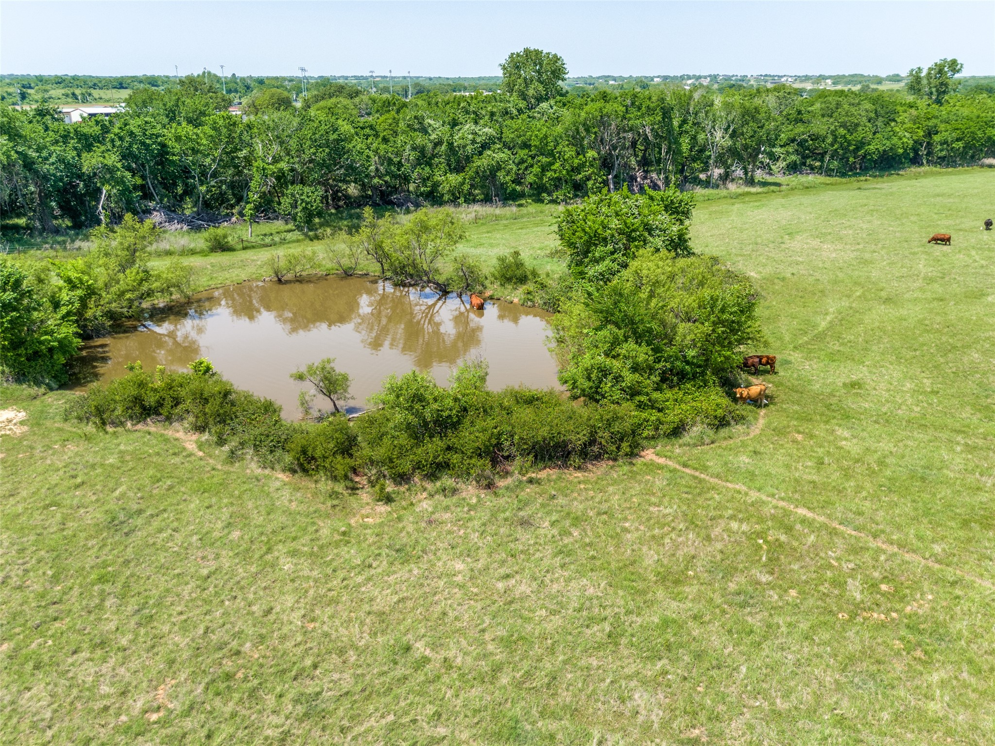 599 Lone Star Poolville TX 76487