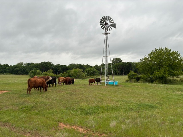 599 Lone Star Poolville TX 76487
