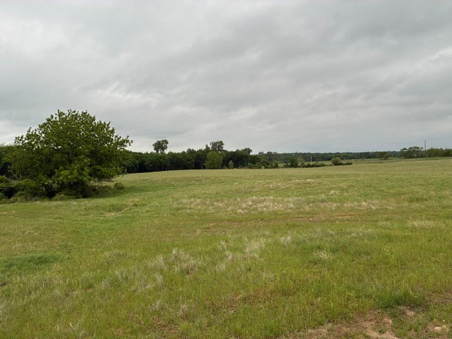 599 Lone Star Poolville TX 76487